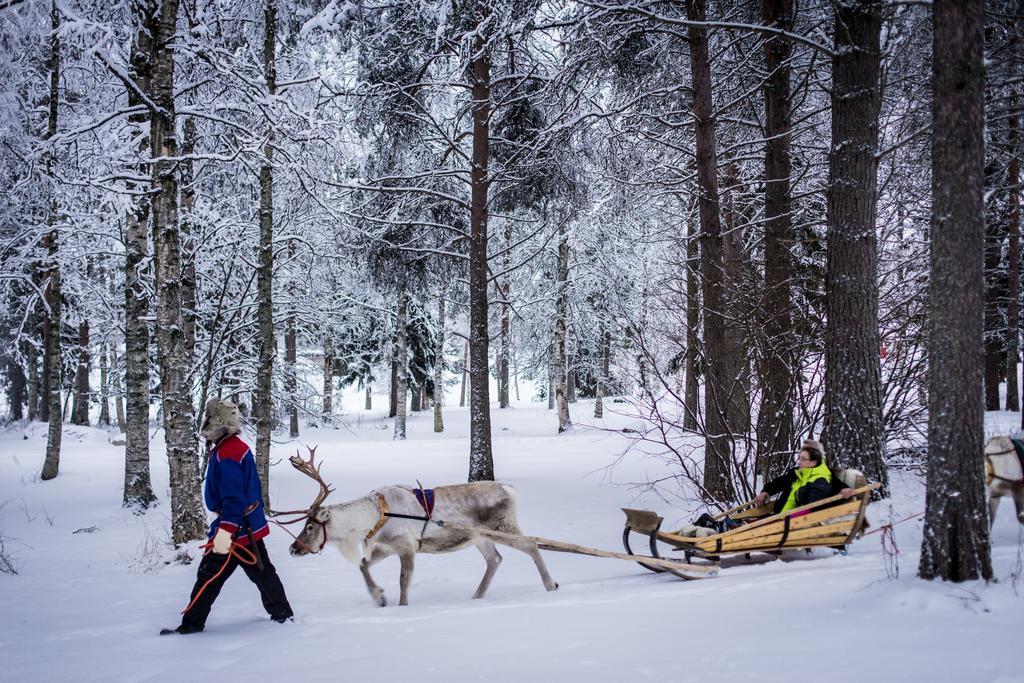 Отель Lapland Igloo Рануа Экстерьер фото