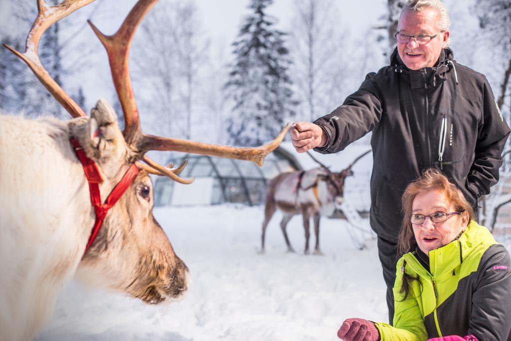 Отель Lapland Igloo Рануа Экстерьер фото