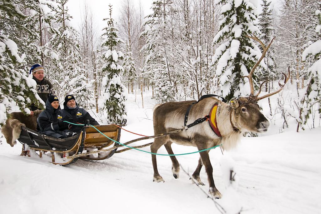 Отель Lapland Igloo Рануа Экстерьер фото